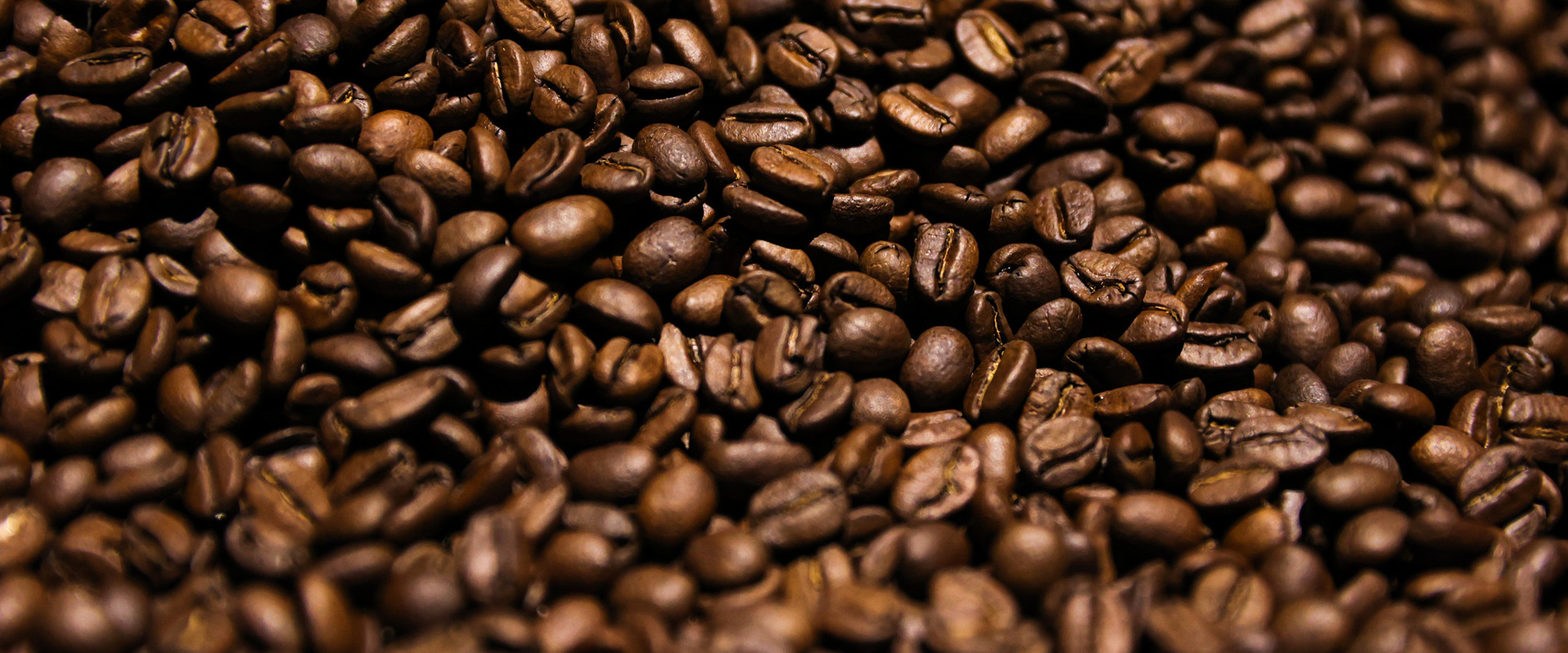 Freshly roasted coffee beans, close up